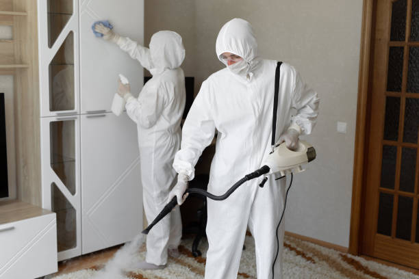 Trusted Houston, PA Mold Removal Experts